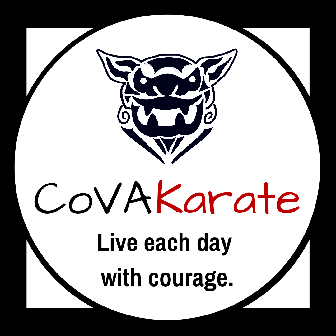 Adult Martial Arts Virginia Beach - Kempsville Protocol